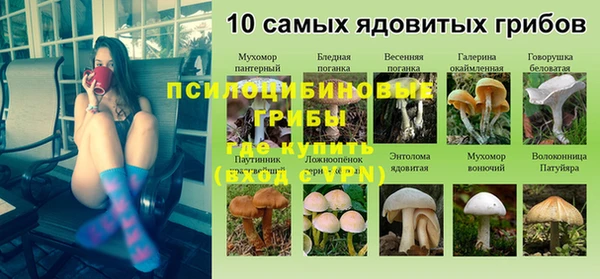 эйфоретик Надым