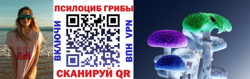KRAKEN как зайти  дарнет шоп  Новомичуринск  Псилоцибиновые грибы ЛСД 